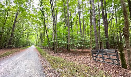 Photo #5 of Off Doggett Lane, Carrollton, VA 50.3 acres