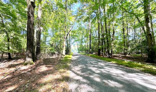 Photo #6 of Off Doggett Lane, Carrollton, VA 50.3 acres