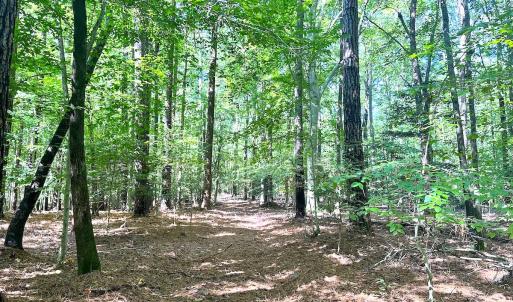 Photo #7 of Off Doggett Lane, Carrollton, VA 50.3 acres