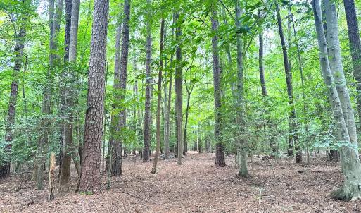 Photo #8 of Off Doggett Lane, Carrollton, VA 50.3 acres