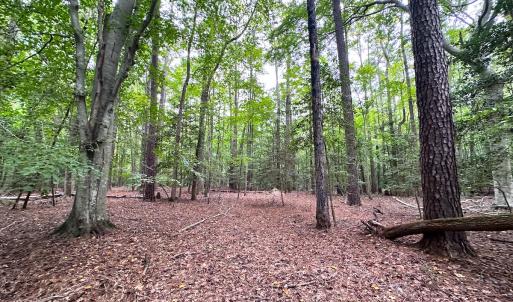 Photo #9 of Off Doggett Lane, Carrollton, VA 50.3 acres
