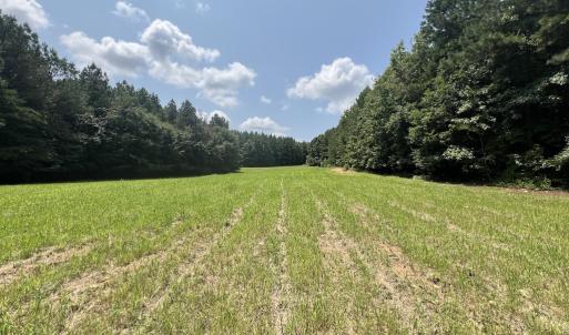 Photo #1 of SOLD property in 02 Todd Road, Roxboro, NC 35.4 acres