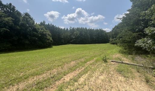 Photo #2 of SOLD property in 02 Todd Road, Roxboro, NC 35.4 acres