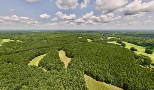 Photo #3 of SOLD property in 02 Todd Road, Roxboro, NC 35.4 acres