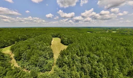 Photo #4 of SOLD property in 02 Todd Road, Roxboro, NC 35.4 acres