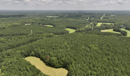 Photo #5 of SOLD property in 02 Todd Road, Roxboro, NC 35.4 acres
