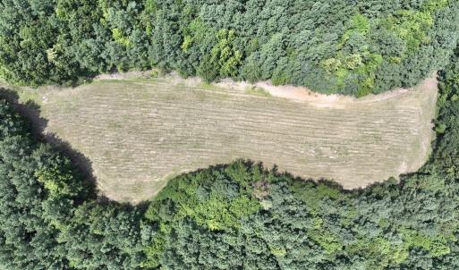 Photo #7 of SOLD property in 02 Todd Road, Roxboro, NC 35.4 acres