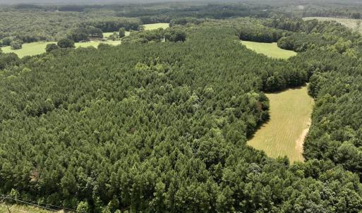 Photo #8 of SOLD property in 02 Todd Road, Roxboro, NC 35.4 acres