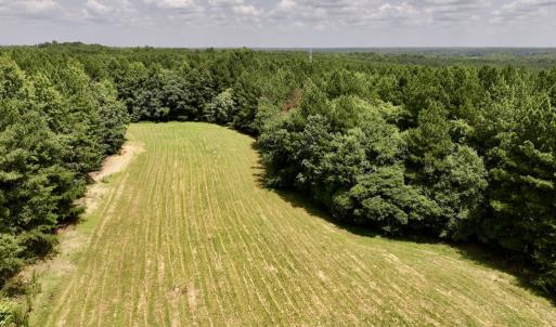 Photo #9 of SOLD property in 02 Todd Road, Roxboro, NC 35.4 acres