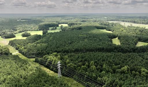 Photo #21 of SOLD property in 02 Todd Road, Roxboro, NC 35.4 acres