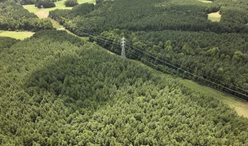 Photo #22 of SOLD property in 02 Todd Road, Roxboro, NC 35.4 acres