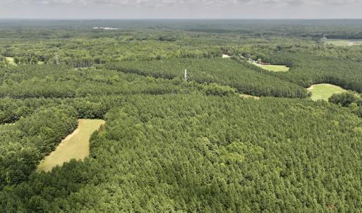 Photo #26 of SOLD property in 02 Todd Road, Roxboro, NC 35.4 acres