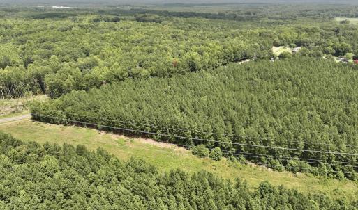 Photo #28 of SOLD property in 02 Todd Road, Roxboro, NC 35.4 acres