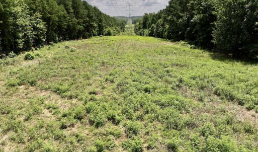 Photo #34 of SOLD property in 02 Todd Road, Roxboro, NC 35.4 acres