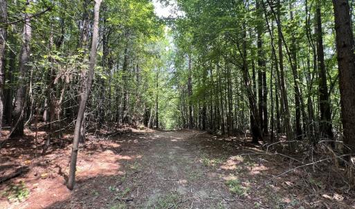 Photo #12 of SOLD property in 02 Todd Road, Roxboro, NC 35.4 acres