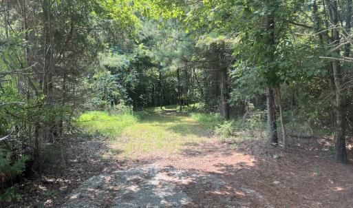 Photo #14 of SOLD property in 02 Todd Road, Roxboro, NC 35.4 acres
