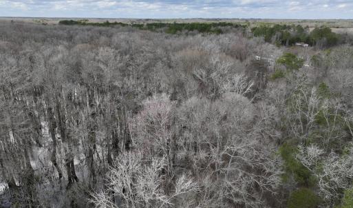 Photo #5 of Off Jolly Ole Field Rd, Grifton, NC 5.4 acres