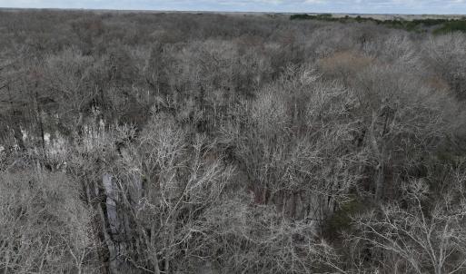 Photo #6 of Off Jolly Ole Field Rd, Grifton, NC 5.4 acres