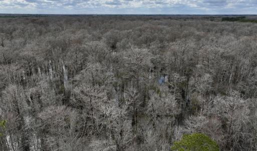 Photo #7 of Off Jolly Ole Field Rd, Grifton, NC 5.4 acres