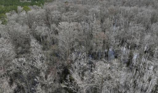 Photo #8 of Off Jolly Ole Field Rd, Grifton, NC 5.4 acres