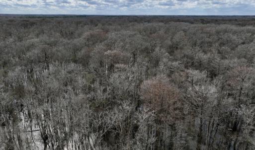 Photo #9 of Off Jolly Ole Field Rd, Grifton, NC 5.4 acres