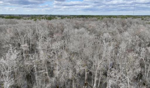 Photo #11 of Off Jolly Ole Field Rd, Grifton, NC 5.4 acres