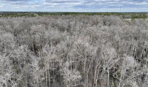 Photo #12 of Off Jolly Ole Field Rd, Grifton, NC 5.4 acres