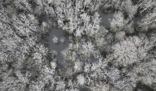 Photo #13 of Off Jolly Ole Field Rd, Grifton, NC 5.4 acres