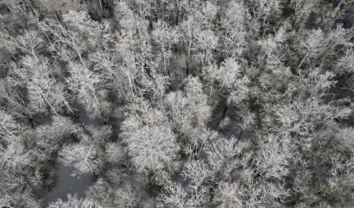 Photo #14 of Off Jolly Ole Field Rd, Grifton, NC 5.4 acres