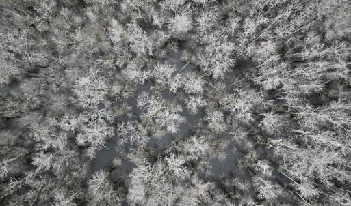 Photo #16 of Off Jolly Ole Field Rd, Grifton, NC 5.4 acres