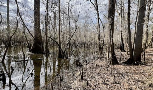 Photo #17 of Off Jolly Ole Field Rd, Grifton, NC 5.4 acres