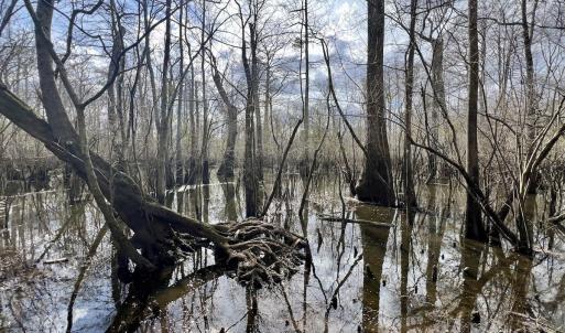 Photo #18 of Off Jolly Ole Field Rd, Grifton, NC 5.4 acres
