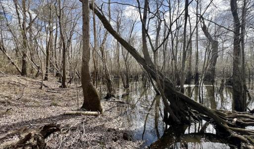 Photo #19 of Off Jolly Ole Field Rd, Grifton, NC 5.4 acres