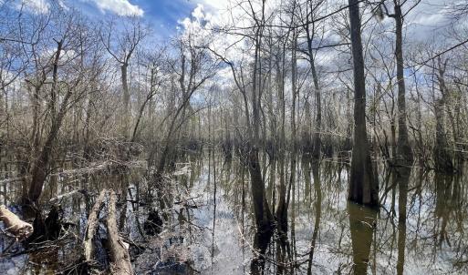 Photo #21 of Off Jolly Ole Field Rd, Grifton, NC 5.4 acres