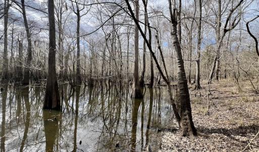 Photo #22 of Off Jolly Ole Field Rd, Grifton, NC 5.4 acres