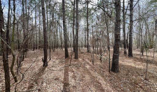 Photo #23 of Off Jolly Ole Field Rd, Grifton, NC 5.4 acres