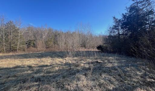 Photo #11 of Off of White House Road, Moneta, VA 17.2 acres