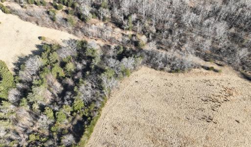 Photo #3 of Off of White House Road, Moneta, VA 17.2 acres