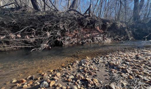 Photo #4 of Off of White House Road, Moneta, VA 17.2 acres