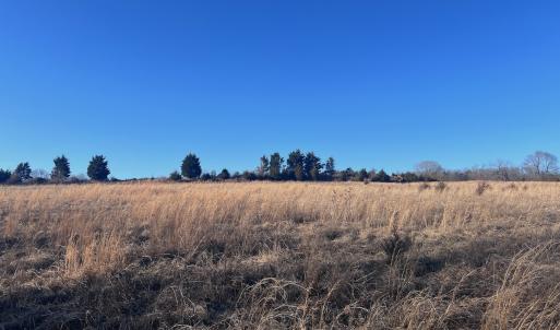 Photo #8 of Off of White House Road, Moneta, VA 17.2 acres