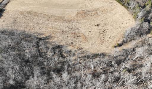 Photo #14 of Off of White House Road, Moneta, VA 17.2 acres