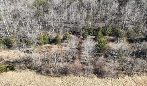 Photo #25 of Off of White House Road, Moneta, VA 17.2 acres