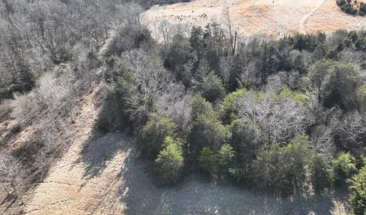 Photo #26 of Off of White House Road, Moneta, VA 17.2 acres