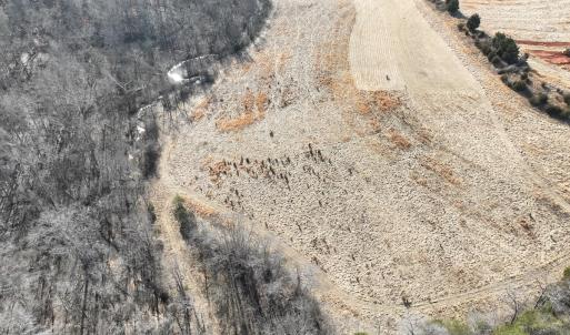 Photo #29 of Off of White House Road, Moneta, VA 17.2 acres