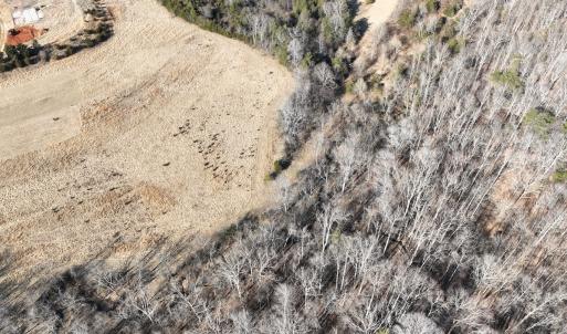 Photo #15 of Off of White House Road, Moneta, VA 17.2 acres