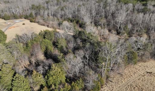 Photo #36 of Off of White House Road, Moneta, VA 17.2 acres