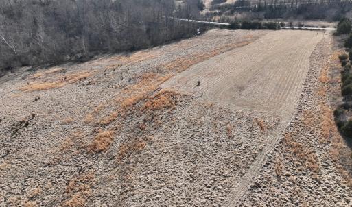 Photo #38 of Off of White House Road, Moneta, VA 17.2 acres