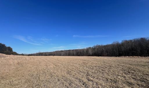Photo #39 of Off of White House Road, Moneta, VA 17.2 acres