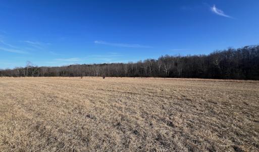 Photo #40 of Off of White House Road, Moneta, VA 17.2 acres