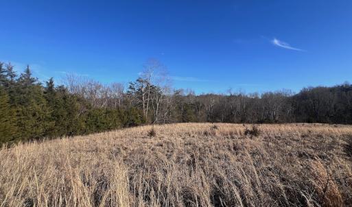 Photo #41 of Off of White House Road, Moneta, VA 17.2 acres